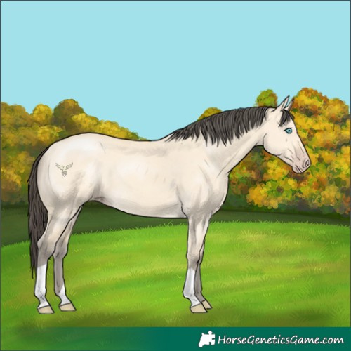 Horse Color:Amber Cream Champagne Dun 