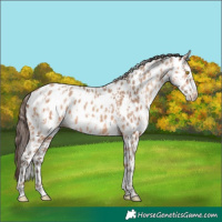 Horse Color:Amber Champagne Leopard and Amber Champagne Leopard