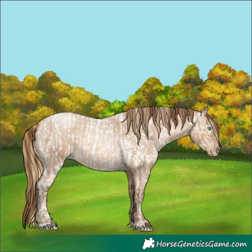 Horse Color:Buckskin Roan Pearl  and Gray Buckskin Roan Pearl 