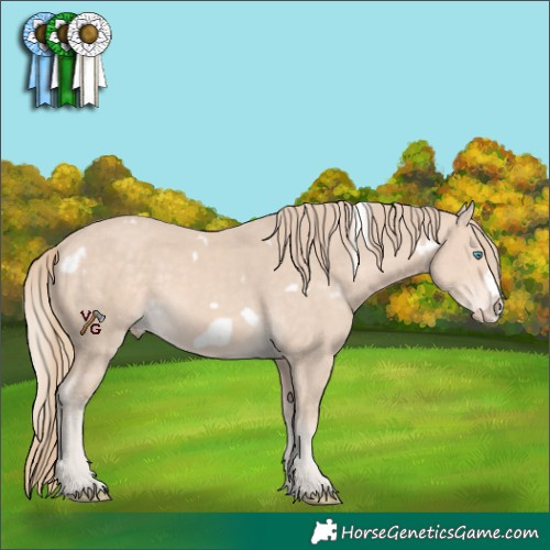 Horse Color:White Spotted Perlino Frame 