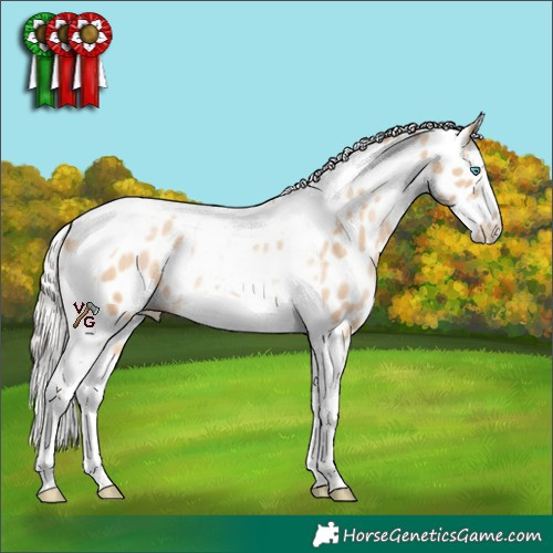 Horse Color:Silver Buckskin Pearl Splash Tobiano Frame Appaloosa Rabicano 