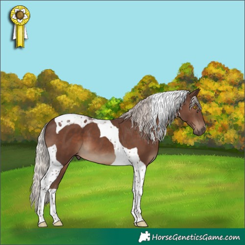Horse Color:Silver Black Tobiano 
