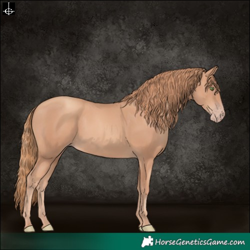 Horse Color:White Spotted Gold Champagne 
