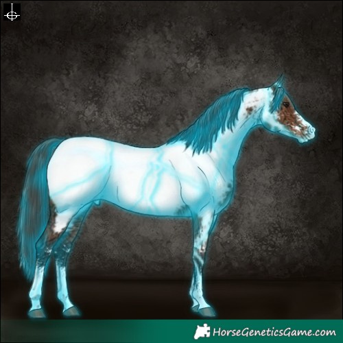 Horse Color:Thunderstruck Bay Ice Sabino Appaloosa 