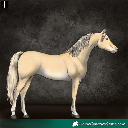 Horse Color:Palomino Dun 