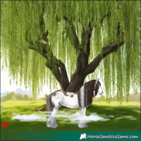 Horse Color:White Spotted Liver Red Dun Splash Frame 