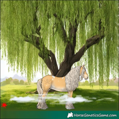 Horse Color:White Spotted Palomino Dun Rabicano 