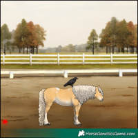 Horse Color:White Spotted Palomino Dun Rabicano 