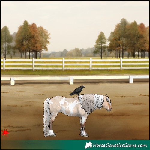 Horse Color:White Spotted Silver Bay Roan Dun 