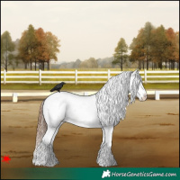 Horse Color:White Spotted Red Dun Sabino Varnish 