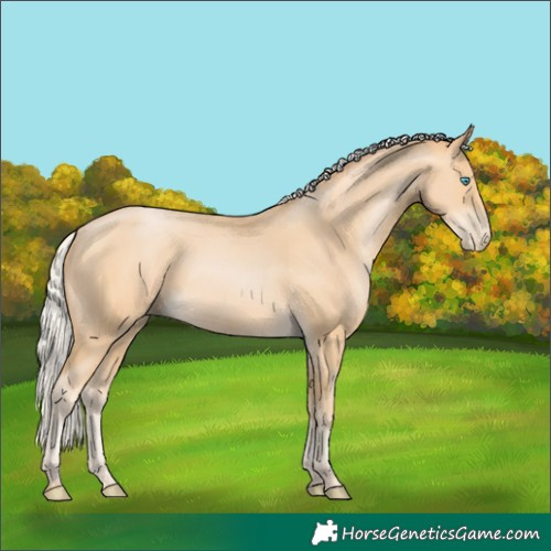 Horse Color:Silver Buckskin Pearl