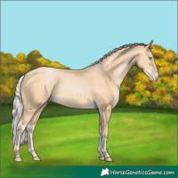 Horse Color:Silver Buckskin Pearl 
