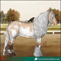 Horse Color:White Spotted Silver Bay Dun Varnish 