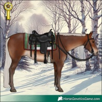 Horse Color:Silver Brown 
