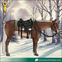 Horse Color:Silver Brown 