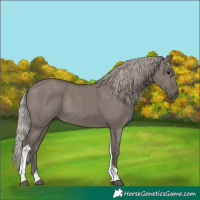 Horse Color:Silver Grullo Tobiano Rabicano