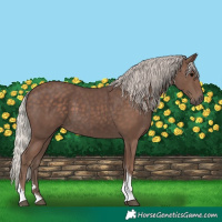 Horse Color:Silver Black Tobiano 