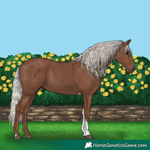 Horse Color:Silver Black Tobiano 