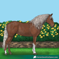 Horse Color:Silver Black Tobiano 