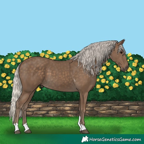 Horse Color:Silver Smoky Black Tobiano 