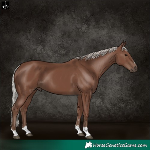 Horse Color:Silver Black 