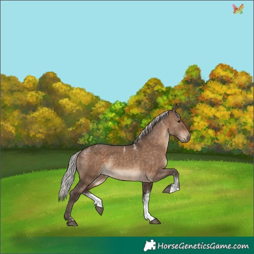 Horse Color:Powder White Silver Brown Dun 