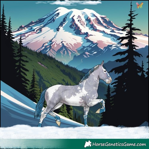 Horse Color:Watercolor Brown Dun Sabino Splash Tobiano 