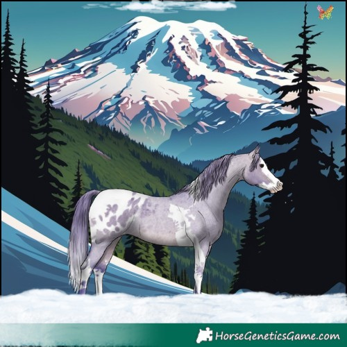 Horse Color:Watercolor Bay Roan Dun Splash Tobiano Blanket Rabicano 