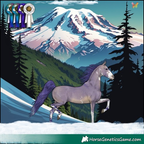 Horse Color:Watercolor White Spotted Brown Dun Splash 