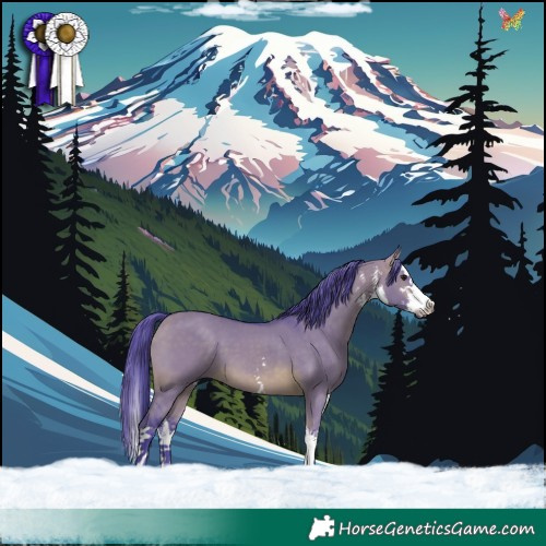 Horse Color:Watercolor White Spotted Brown Dun Splash 