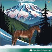 Horse Color:Powder White Liver Chestnut Sabino 