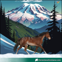 Horse Color:Powder White Liver Chestnut Sabino 