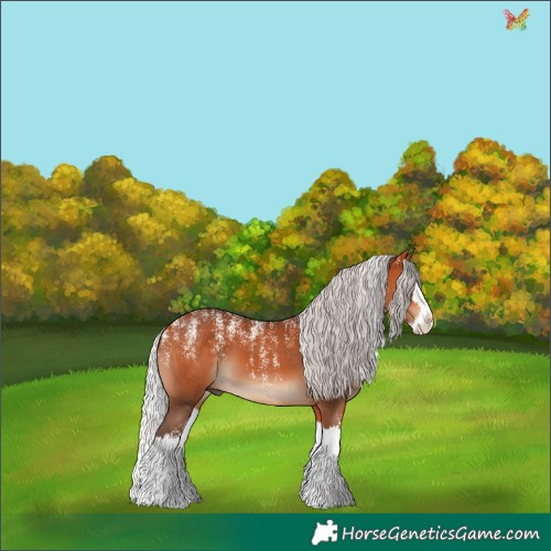 Horse Color:Powder White Silver Bay Splash 