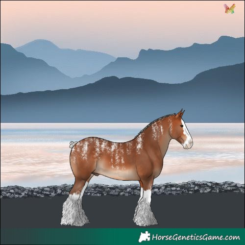 Horse Color:Powder White Silver Bay Splash 