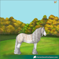 Horse Color:Powder White Silver Bay Dun Sabino Splash