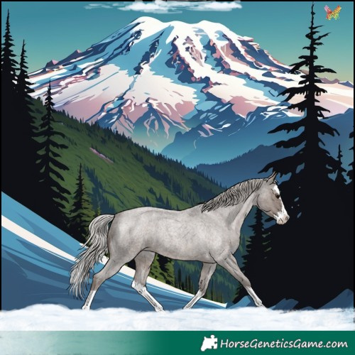 Horse Color:Silver Blue Roan Splash Appaloosa 