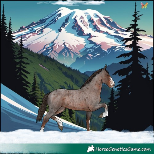 Horse Color:Liver Red Roan Sabino 