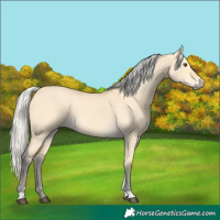 Horse Color:Silver Buckskin Dun Tobiano 