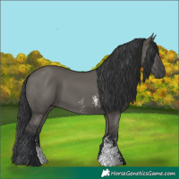 Horse Color:Grullo Sabino Rabicano