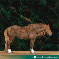 Horse Color:Chestnut Ice 