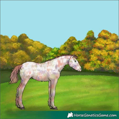 Horse Color:Nacre Bay Ice Pearl 