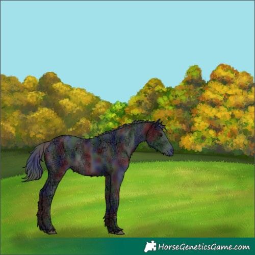 Horse Color:Nacre Black Ice 
