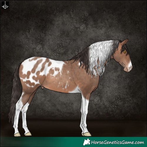 Horse Color:White Spotted Sable Champagne Tobiano Blanket 