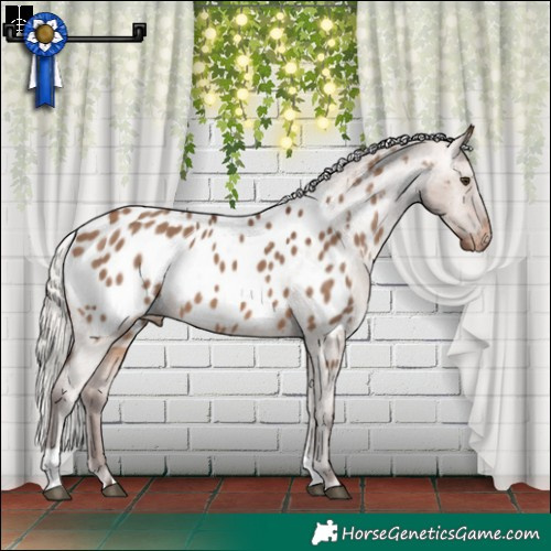 Horse Color:Silver Brown Dun Tobiano Blanket 