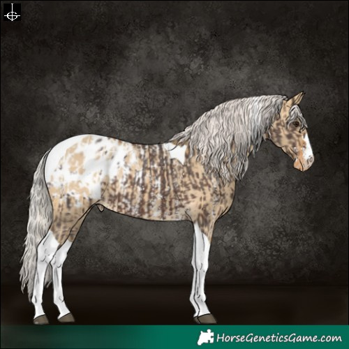 Horse Color:Silver Brown Sabino Tobiano Blanket  and Silver Buckskin Dun Tobiano Blanket Rabicano 