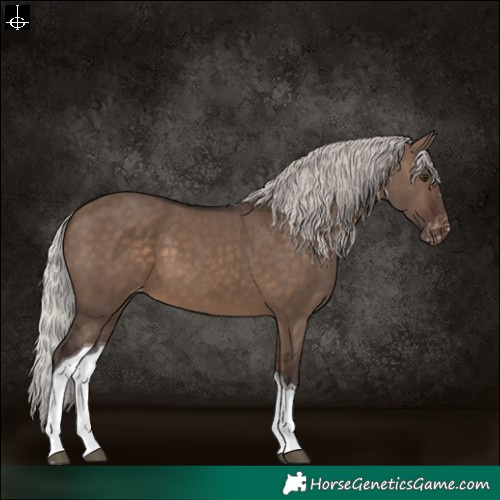 Horse Color:Silver Brown Dun Tobiano Varnish 