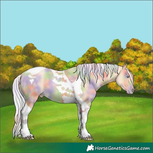 Horse Color:Nacre Silver Smoky Black Pearl Tobiano 