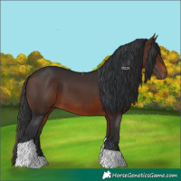 Horse Color:Brown Tobiano 