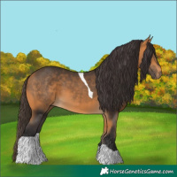 Horse Color:Buckskin Tobiano Rabicano 