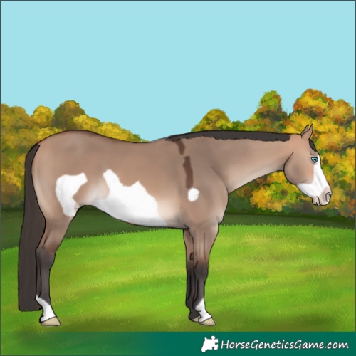 Horse Color:Bay Dun Mushroom Frame